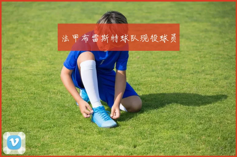 法甲布雷斯特球队现役球员