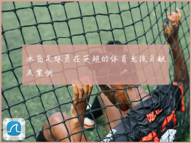 冰岛足球员在英超的体育竞技贡献及案例