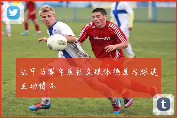 法甲马赛年度社交媒体热度与球迷互动情况