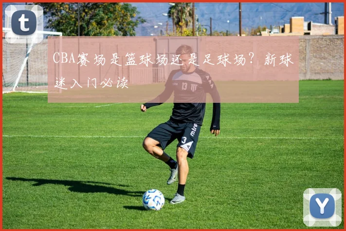 CBA赛场是篮球场还是足球场？新球迷入门必读