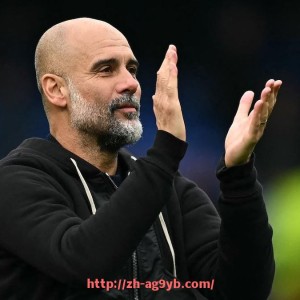 ag9游会-英超各国外援球员数量统计与外援政策对比分析
